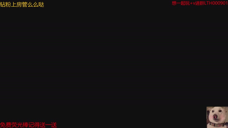 【2026-01-07 05点场】是猫咪吖丶：小揪揪来咯么么哒