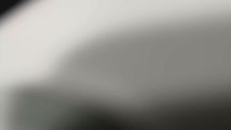 【2025-11-29 完整版】轰轰仔：轰轰：想吃牛肉汤想吃驴肉汤！