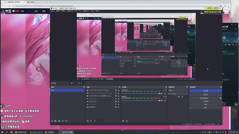 【2025-11-09 完整版】-dum-：AD单排沉浸式对局 操作王！