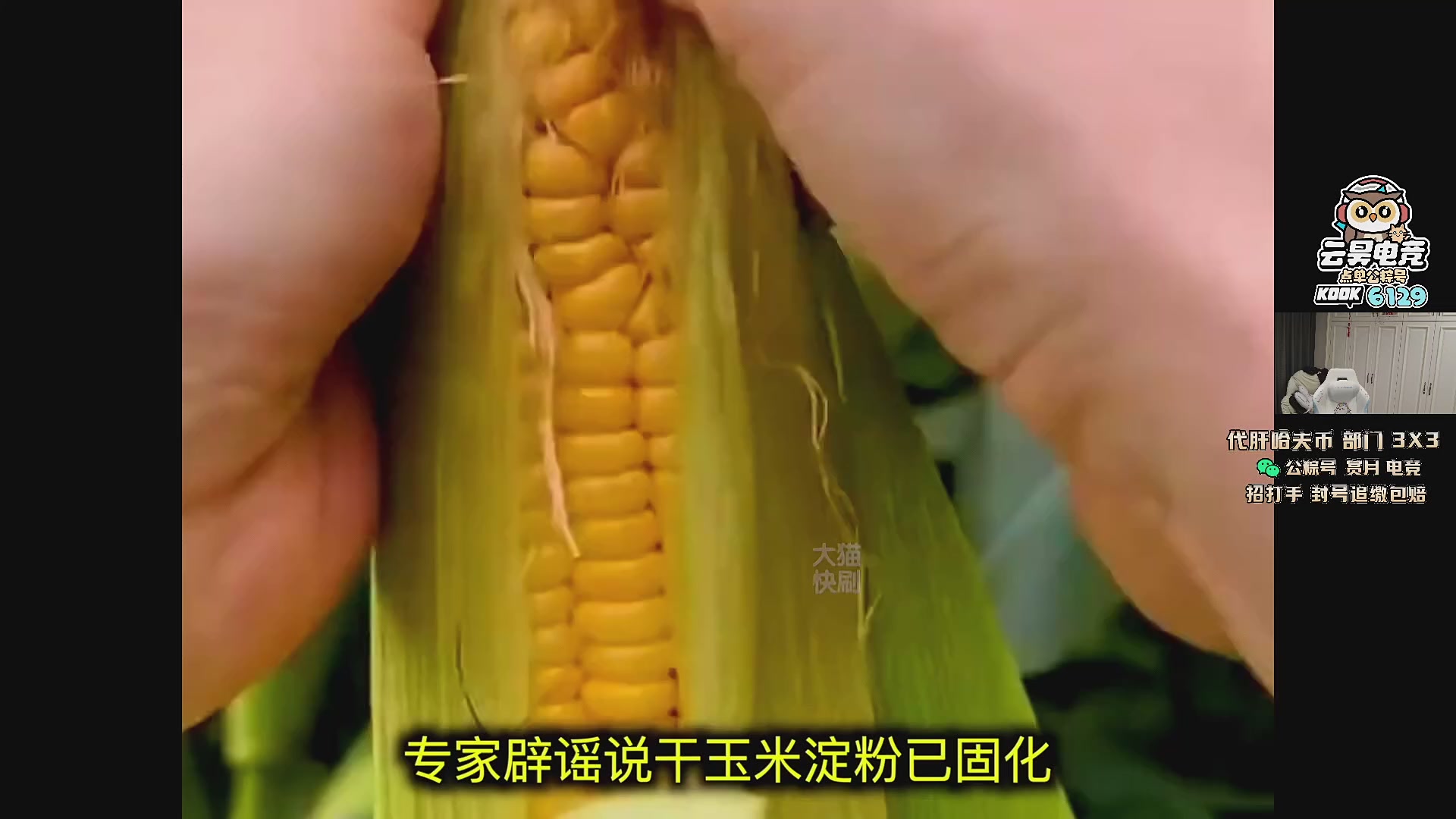 这是我剪辑的pigff的直播精彩时刻，快来看看吧~